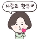 한낮의햇살 이미지