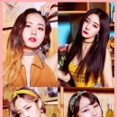 로즈미디어 네이버블로그