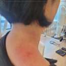 에스엔티스포츠 | 40대 여성이라도 걱정 없어요, 에스엔티 스포츠에서!