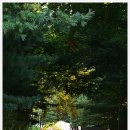 영주읍내리석조여래좌상 이미지