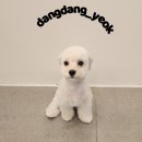 소사미용실 이미지