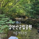 강천산군립공원 | 전북 순창 강천산 군립공원 여름 물놀이 장소로 강력 추천 후기