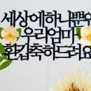 토퍼세상