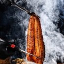 풍경장어 이미지