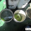 차세대카써비스&카맨샵 이미지