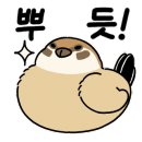 광수손세차장 이미지