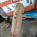 길거리아이스크림 이미지