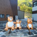 보현산자연휴양림 이미지