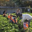 남양주시농업기술센터 이미지