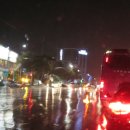 송이버섯 가격 동향 이미지