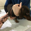 용전1로R 이미지