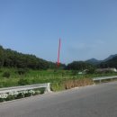 금구리 이미지