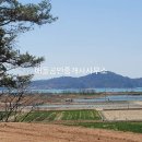 대서면사무소 이미지