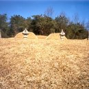 오금2리 이미지