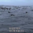 바다기술 이미지
