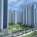 2025.8. 울산 맛집 송정 브런치 빈 이미지