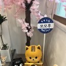 부산대푸딩 맛집 부산대카페 모모후 커스터드 푸딩 빙수 메론소다 후기