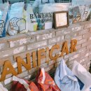 파니피카 이미지