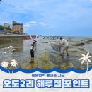 뇌조2리 마을회관 | 포항 오도2리 해수욕장 옆 해루질 하기좋은 스노클링 명소