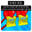 모텔핸섬 | 행복한백수의삶^_^