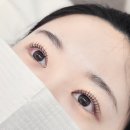 위즈 | 산본 속눈썹펌 잘하는 곳 추천 위즈래쉬 (블랙위즈펌 후기)