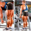구일리프트