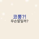 손뽕눈뽕