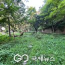 양명초교 이미지