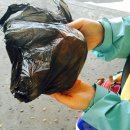 소라장모텔 이미지