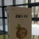 콩들의 이야기 이미지