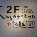 풍무동 하임동물병원 강아지 건강검진 후기
