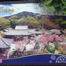 주식회사 다인스 이미지