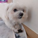 방구동구스낵 이미지