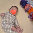 롤링벌룬 | 코니 코튼메쉬 바디수트, 코튼메쉬 점프수트 7kg 아기 80사이즈 내돈내산 후기(벌룬 블루머도 추천✨️)