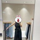 뉴코아수선