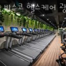 올림픽 헬스클럽 이미지