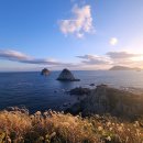 광주송정역 관광안내소(2층) | 부산 겨울 당일 여행 관광 코스 오륙도 스카이워크