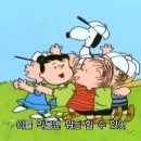 스토어 D.S 네이버블로그