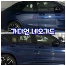 Bmw X4 M40i 파이토닉 블루가디언 도어가드, 네오가드 후기/ 부산 도어가드 업체 후기