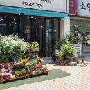 프롬니나 이미지