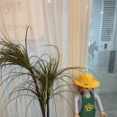 아워웨이브 | [마곡] 곰손도 여신 웨이브 가능? 르아워에서 찾은 독보적인 분위기 (feat. 디지털펌)