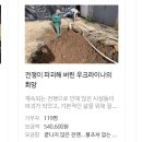 아이에프씨 이미지