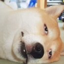 (주)화해 이미지