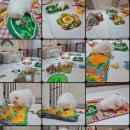 르라움 이미지
