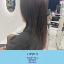 청솔미용실 - 경산시 | 울산남구미용실 로베안헤어 머리맛집 추천 염색 후기