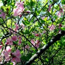 남명삼거리 이미지