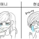 신창집 이미지