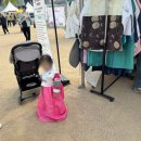 서울언남초등학교 | [행사후기] 2025 서울국악축제