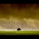 동산통신 이미지