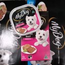 MY DOG(마이도그) 이미지